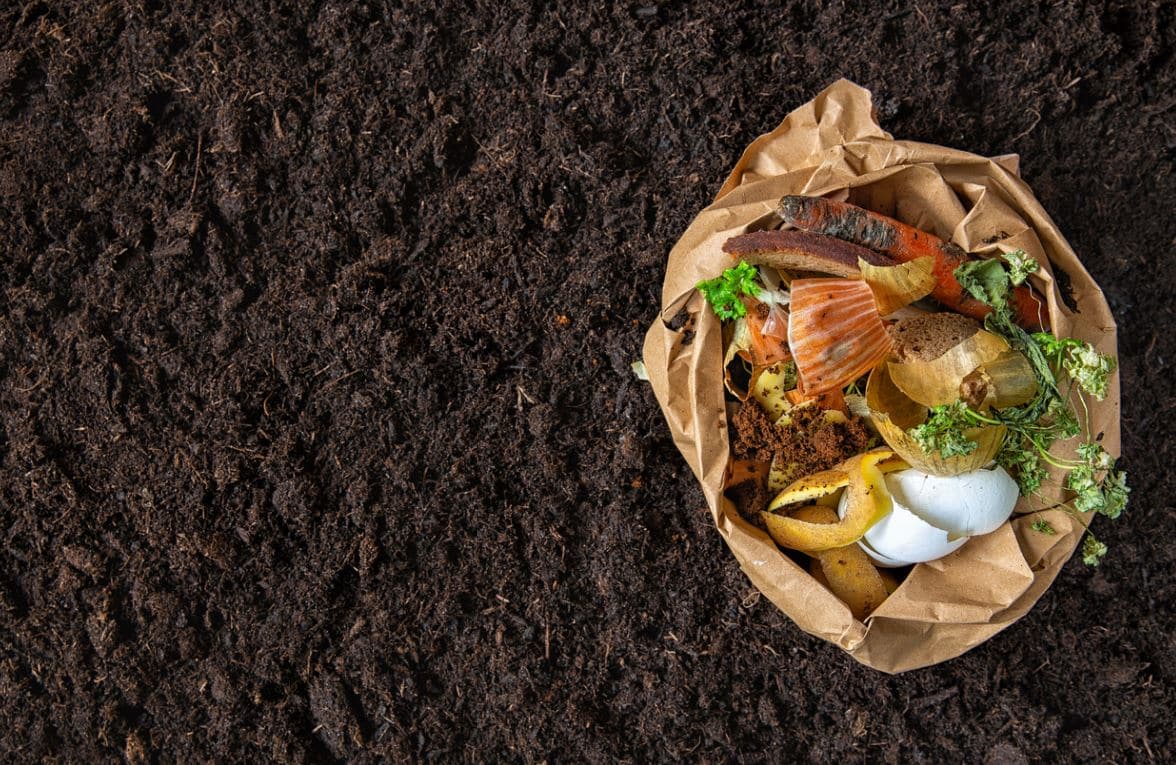 Enirchir Terre Pauvre Compost