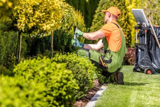 À épingler : Combien coûte l’entretien d’un jardin ?