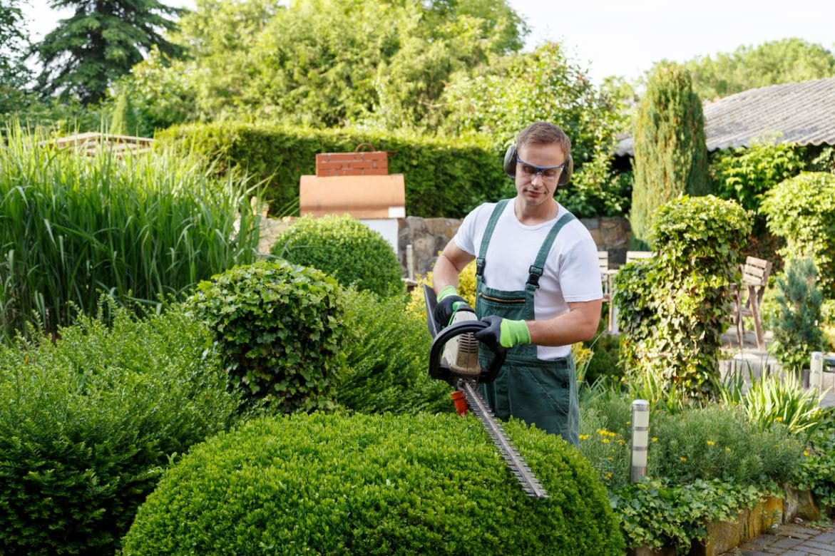 Jardinier Taille Haie Entretien