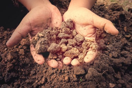 À épingler : Comment enrichir une terre pauvre ? Nos différentes solutions