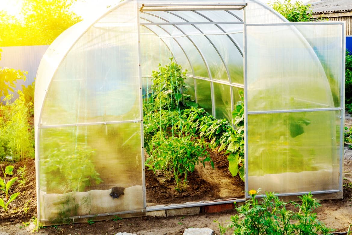 Aménager Serre De Jardin