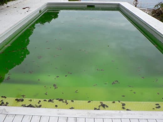 À épingler : Comment avoir une piscine toujours propre grâce au robot de piscine ?