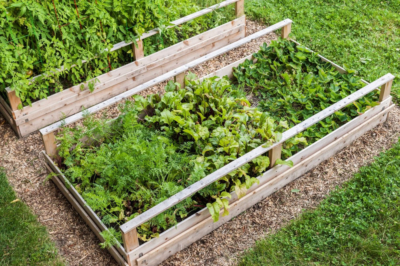 9 bonnes raisons de faire son propre potager