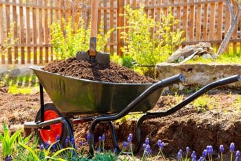 Préparer Jardin Pour Le Printemps