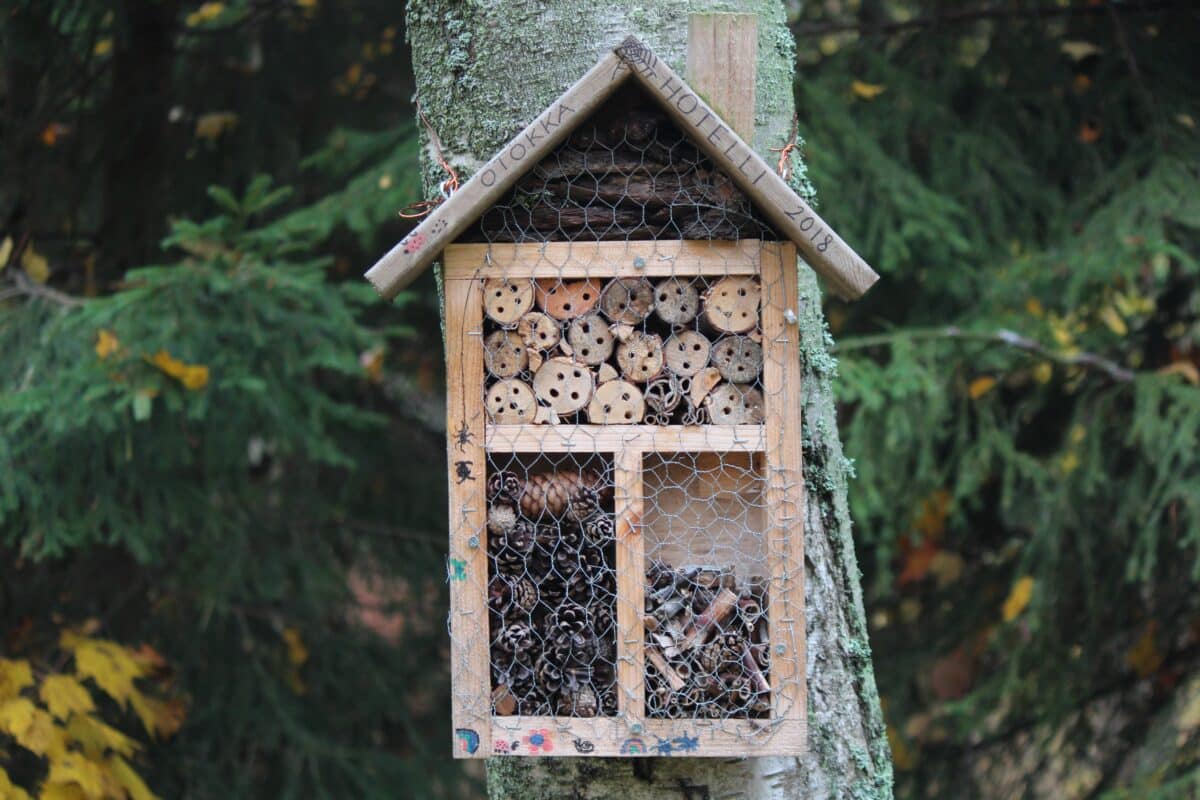 hôtel insecte fixe au mur en forme de maison