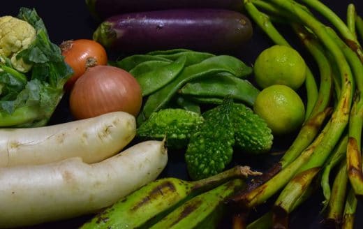 Comment se débarrasser des moustiques dans le jardin ? - Ctendance.fr
