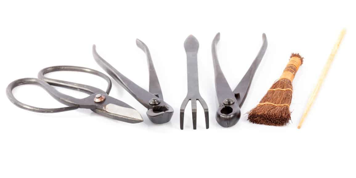 Entretien Bonsai Outils