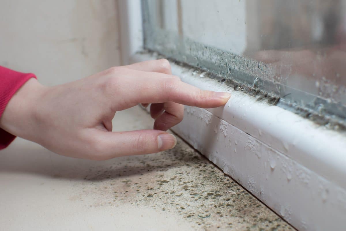 Humidité dans la chambre : 6 solutions pour s'en débarrasser
