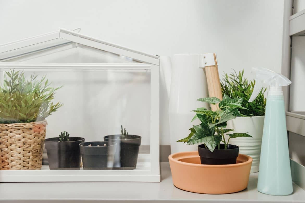 Mini Serre Plante D'intérieur