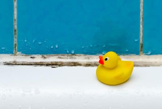 À épingler : 9 astuces pour éliminer les traces de moisissure dans votre salle de bains