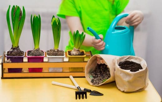 À épingler : Les outils indispensables du jardinier d’intérieur