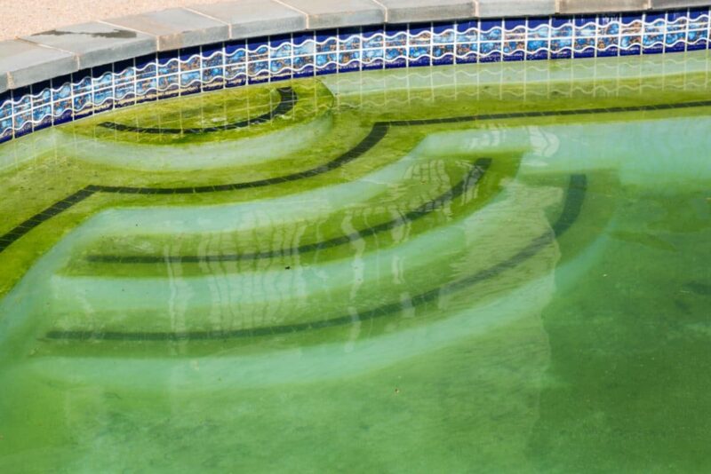 Peut-on se baigner pendant l'entretien de sa piscine