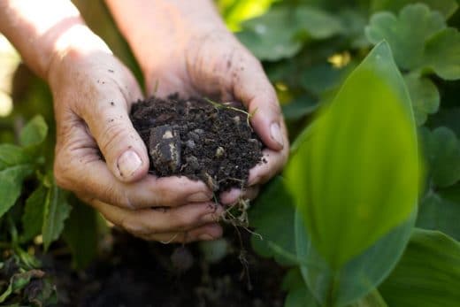 À épingler : Le compostage : comment faire son propre compost ?