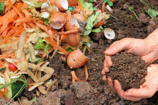 À épingler : 7 astuces pour éliminer les moucherons dans le compost
