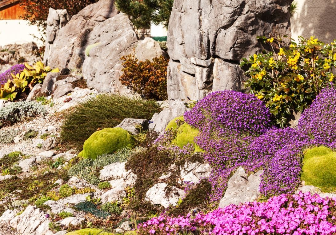 Jardin De Rocaille