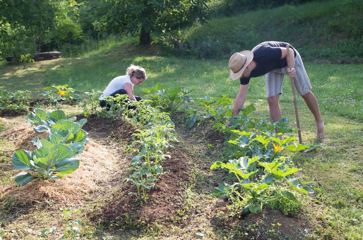 Permaculture Jardiner Sans Engrais