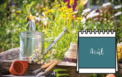 À épingler : Que faire au jardin en Aout : entretien, taille, plantation