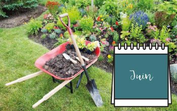 Calendrier Jardin Juin