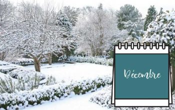 Calendrier Jardinage Decembre