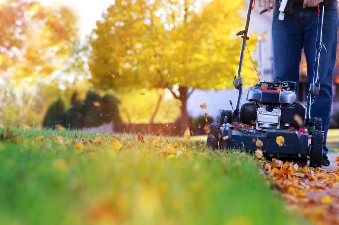 Jardin Octobre Tondeuse