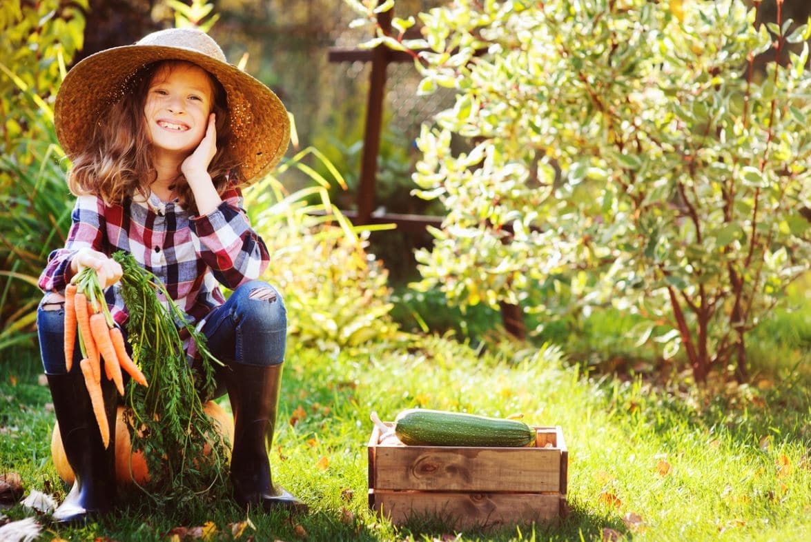 Septembre Jardin Récoltes