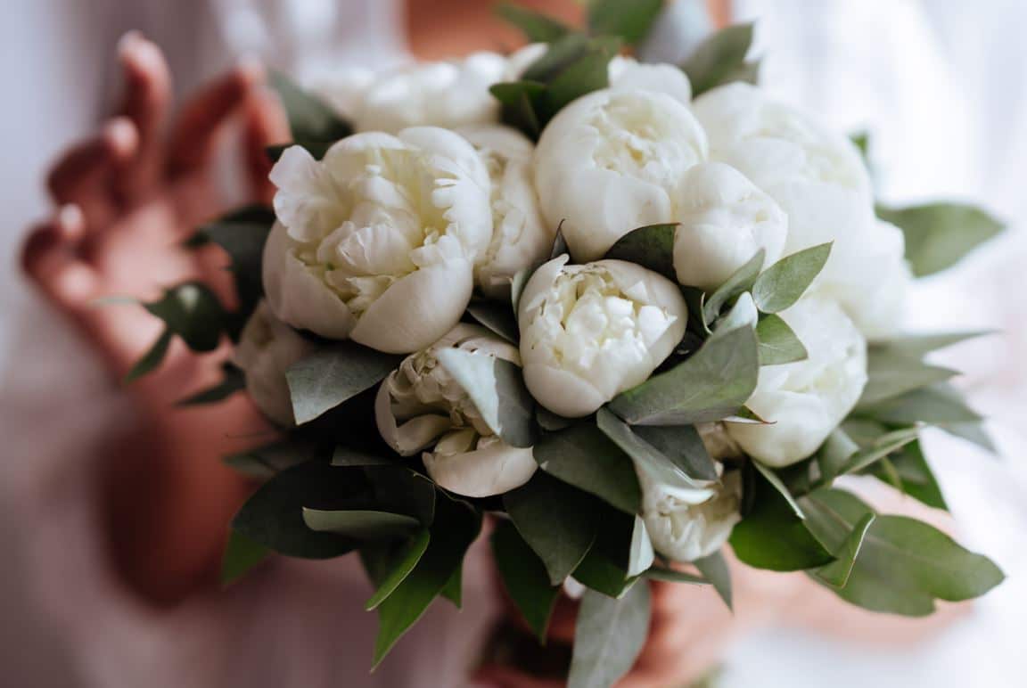 Bouquet De Pivoine