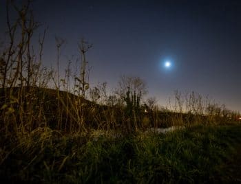 Jardiner Avec La Lune