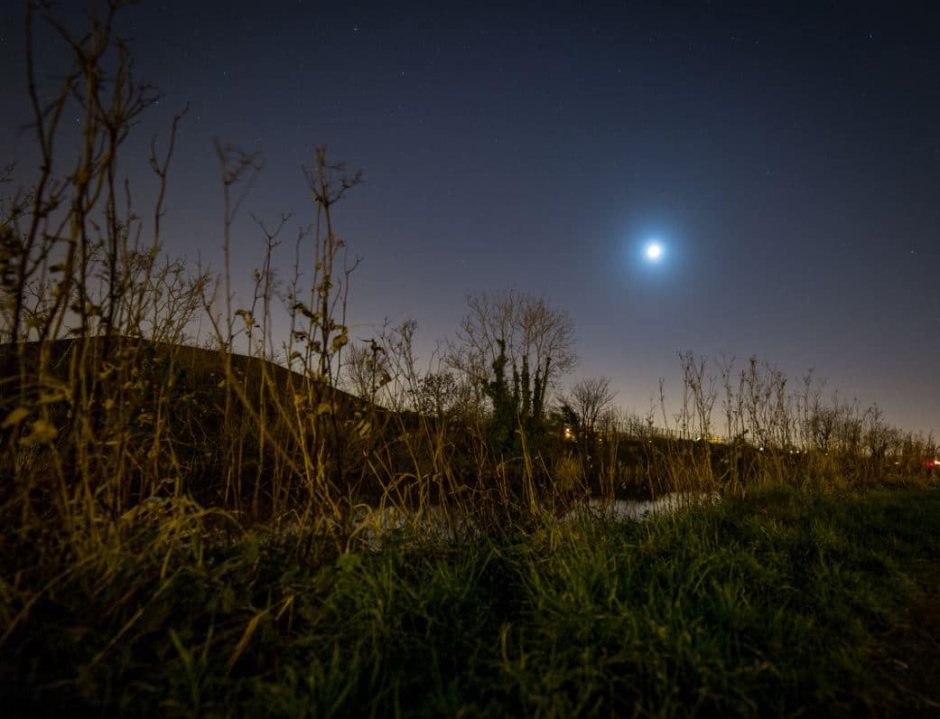 Jardiner Avec La Lune