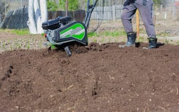 Labourer Jardin Avec Motoculteur