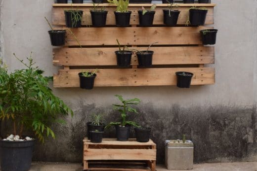 À épingler : Que faire avec des palettes dans un jardin ?