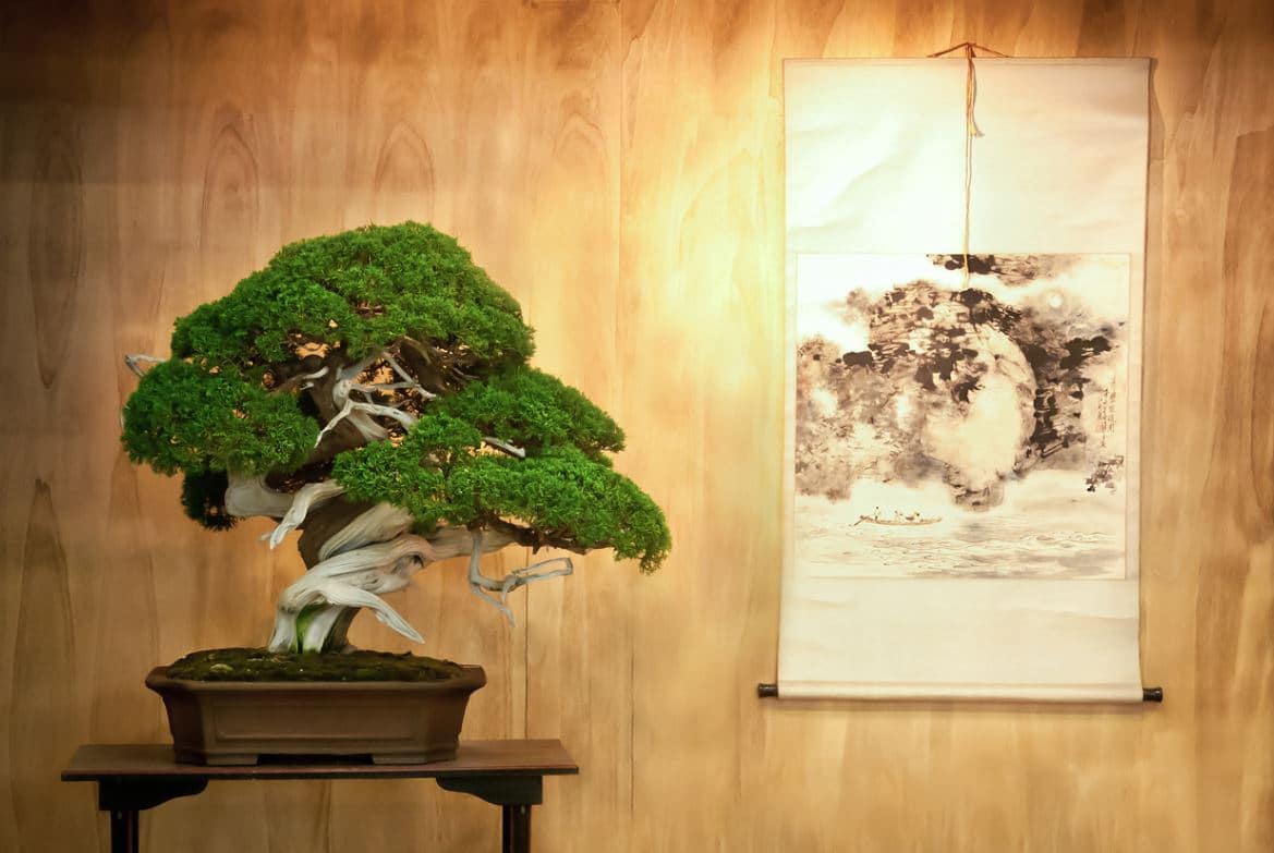 Tableau Japonais Bonsai