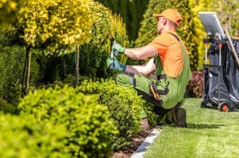 Entretien Du Jardin