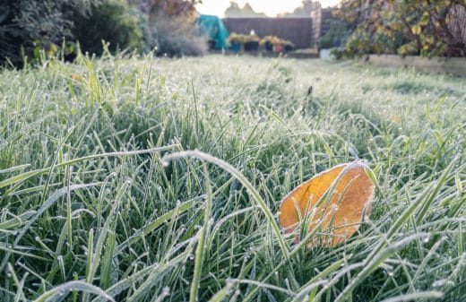 À épingler : 4 conseils pour entretenir son gazon en hiver