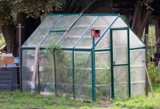 À épingler : Que faire dans la serre en novembre ?