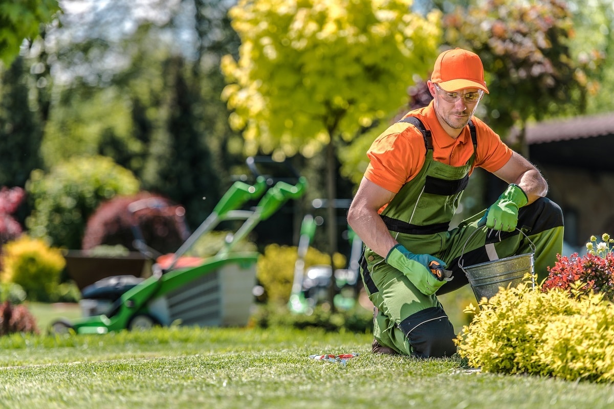 Le Matériel Adéquat Pour L’entretien Du Jardin