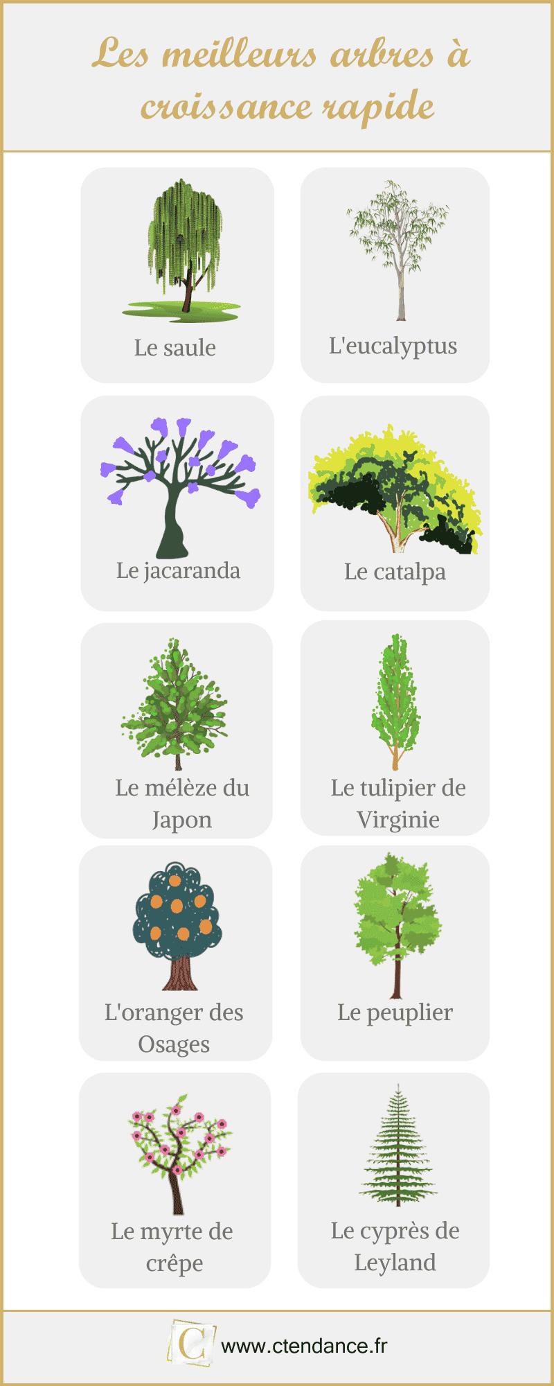 Les meilleurs arbres a croissance rapide en image