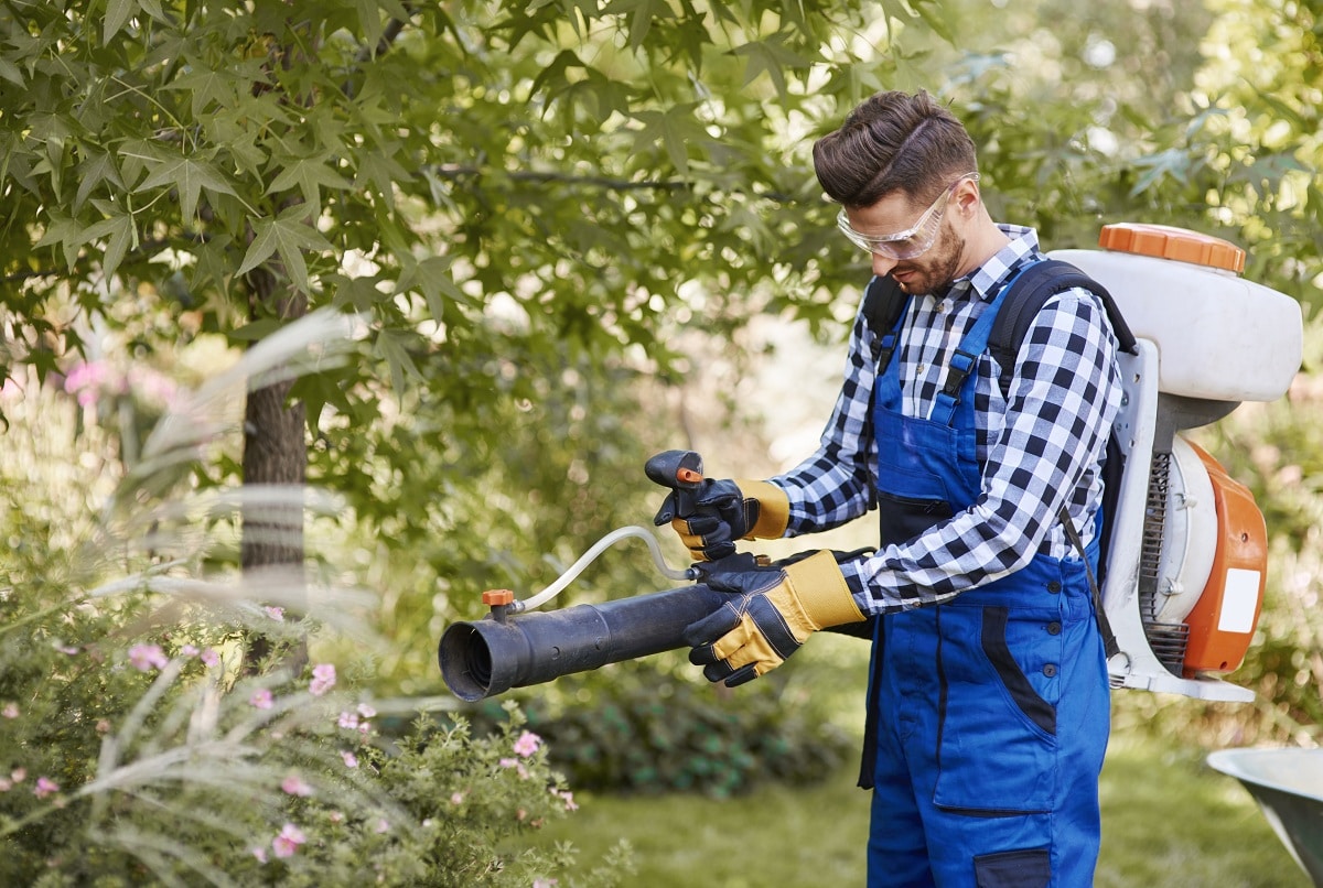 Comment Choisir Un Aspirateur Souffleur Broyeur