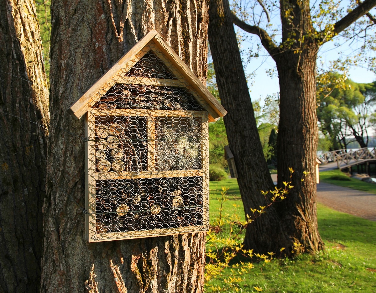 Comment Construire Un Hôtel à Insectes