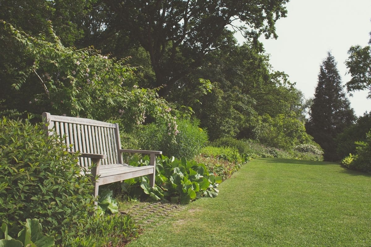 Comment rendre son jardin plus lumineux ? Plusieurs astuces