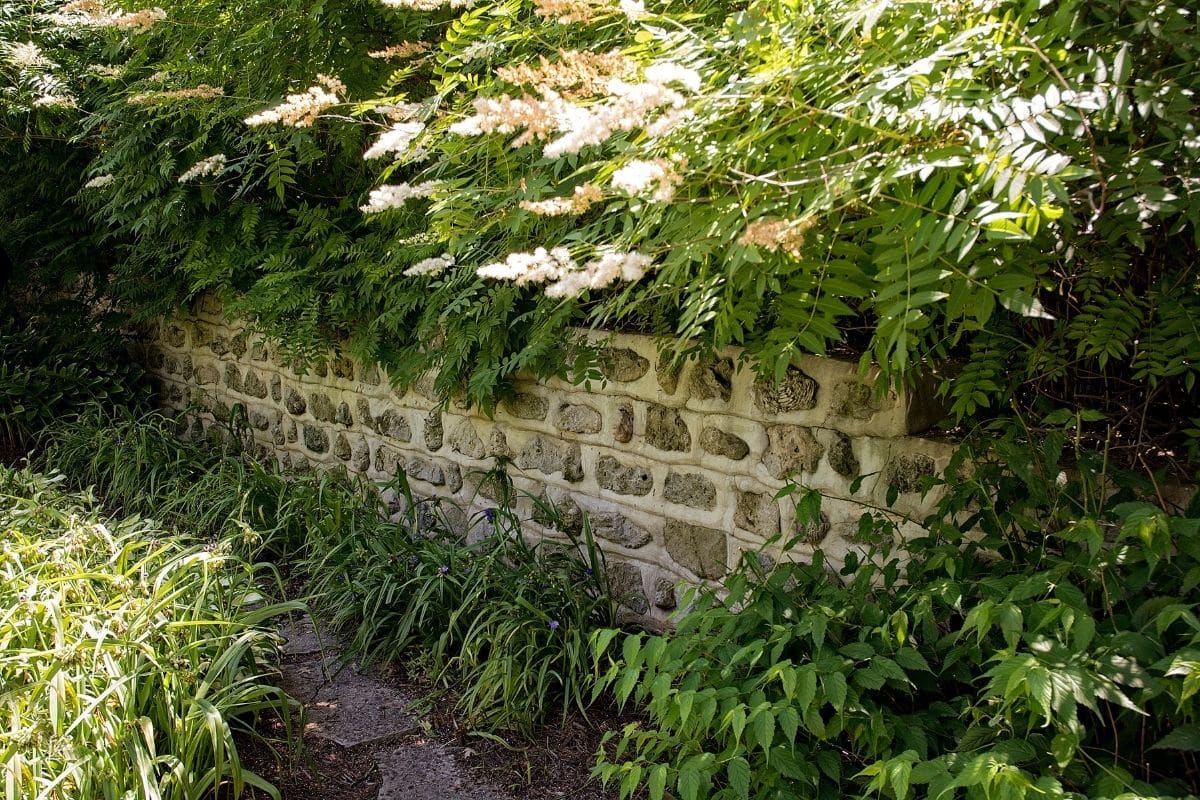 Les astuces pour décorer les murs de votre jardin !