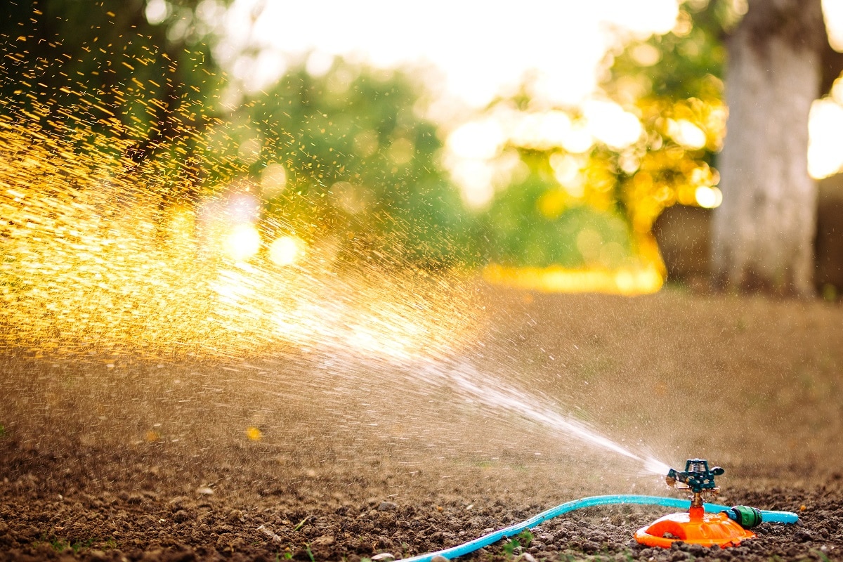 Pourquoi Choisir Un Système D'arrosage Goutte à Goutte