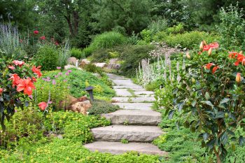 Toutes les astuces pour avoir un jardin sans pesticides