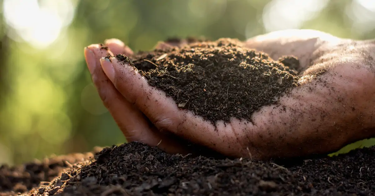 Où Trouver De La Terre