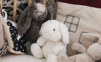 Comment Choisir Votre Peluche Jellycat