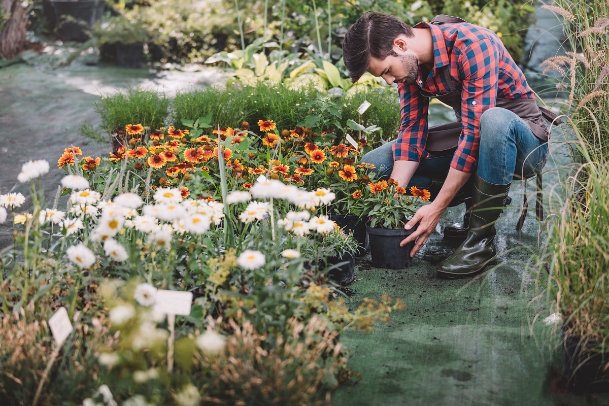 Comment Entretenir Les Bottes De Jardinage