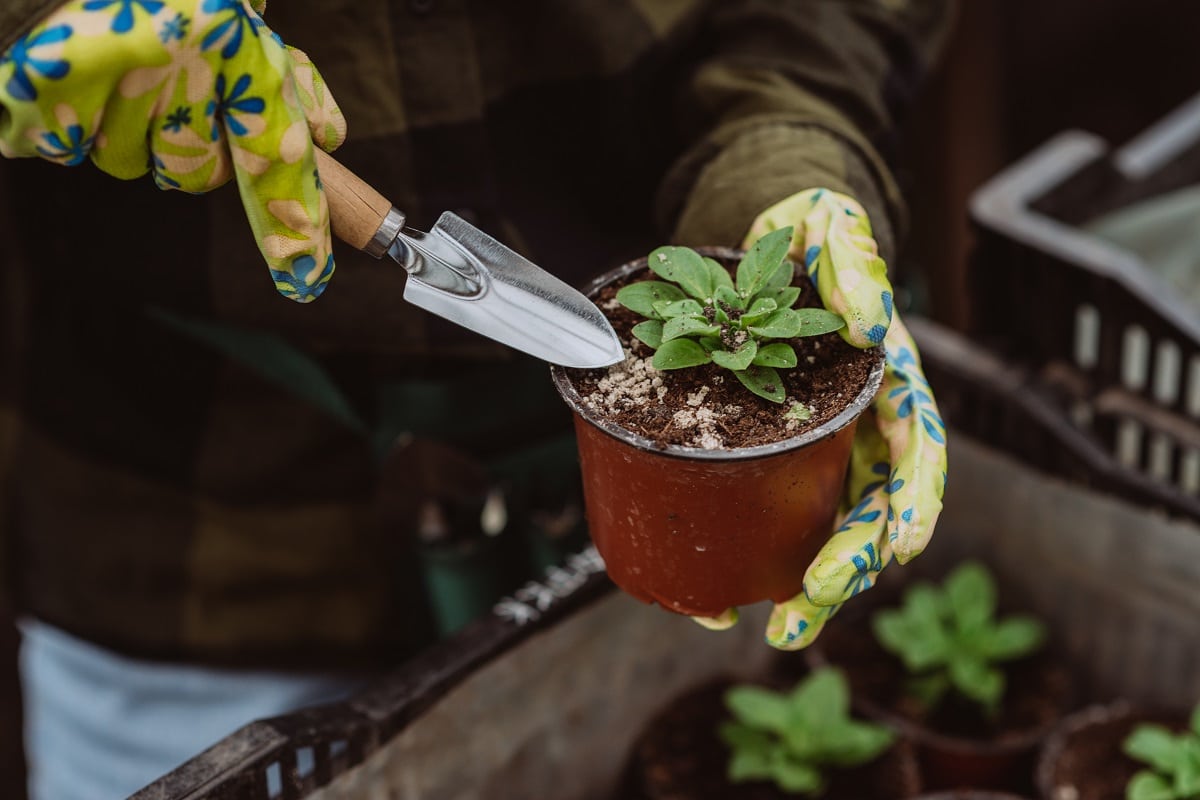 Gants de jardinage à manches longues et motifs à fleurs