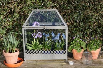 Fabriquer une mini serre pour votre jardin 