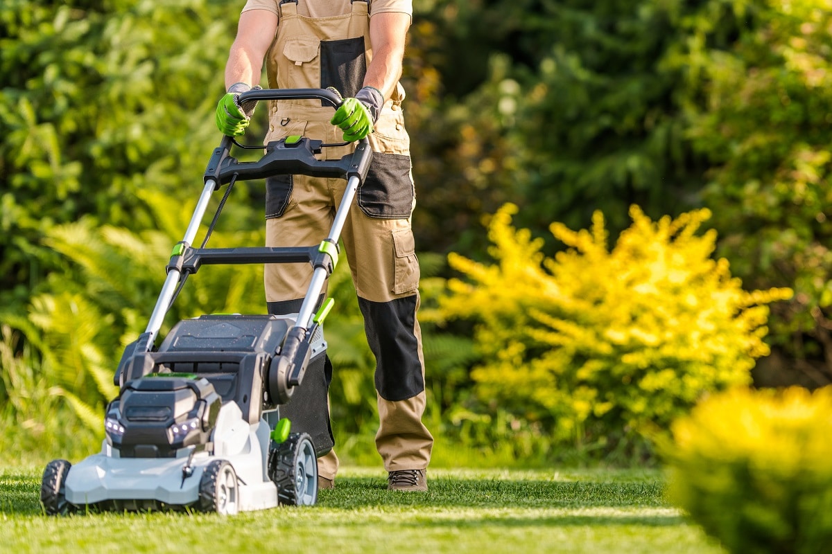 Garden Worker With Lawnmower Cutting Grass 2021 09 02 07 56 53 Utc