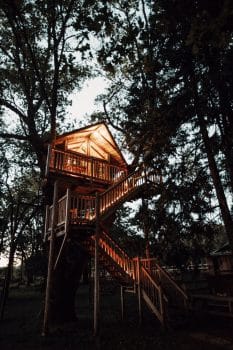 La Cabane Dans Les Arbres