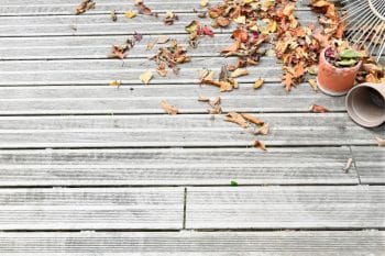 Terrasse en bois : Tout savoir pour bien la nettoyer